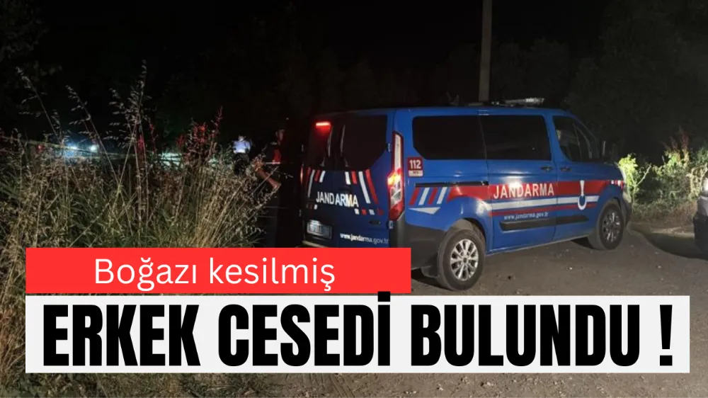 İznik Gölü Sahil Yolu