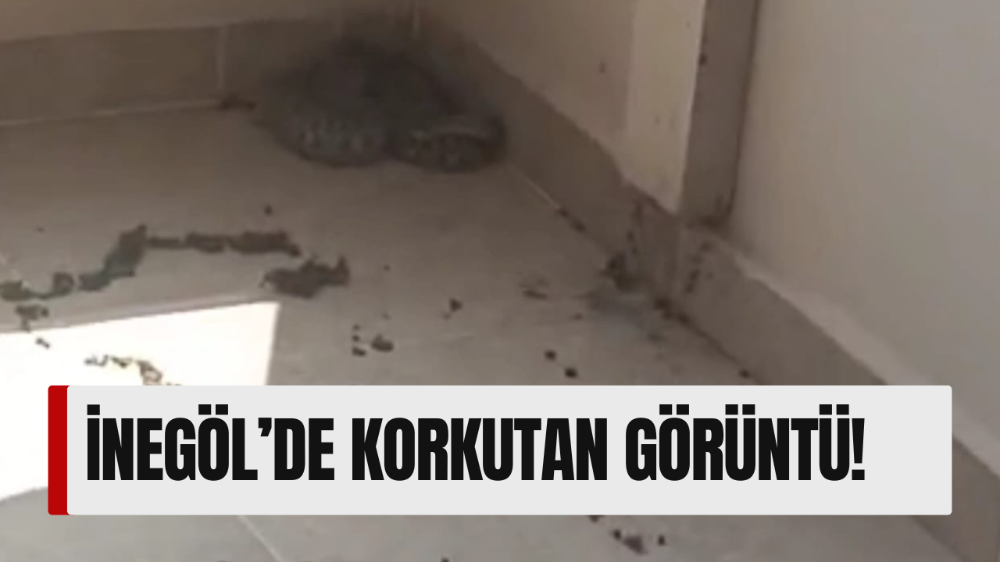 İnegöl’de korkutan görüntü!