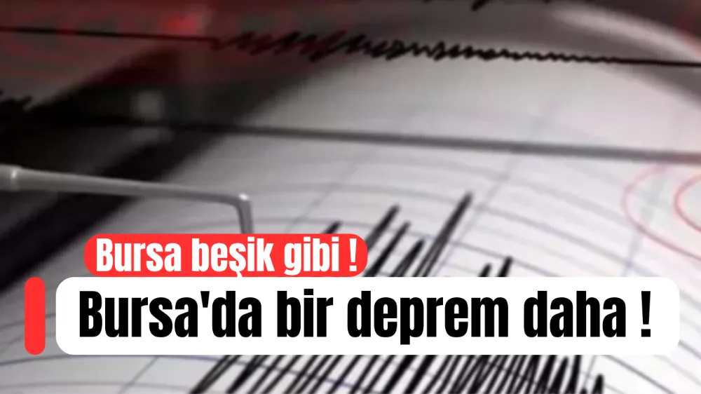Bursa