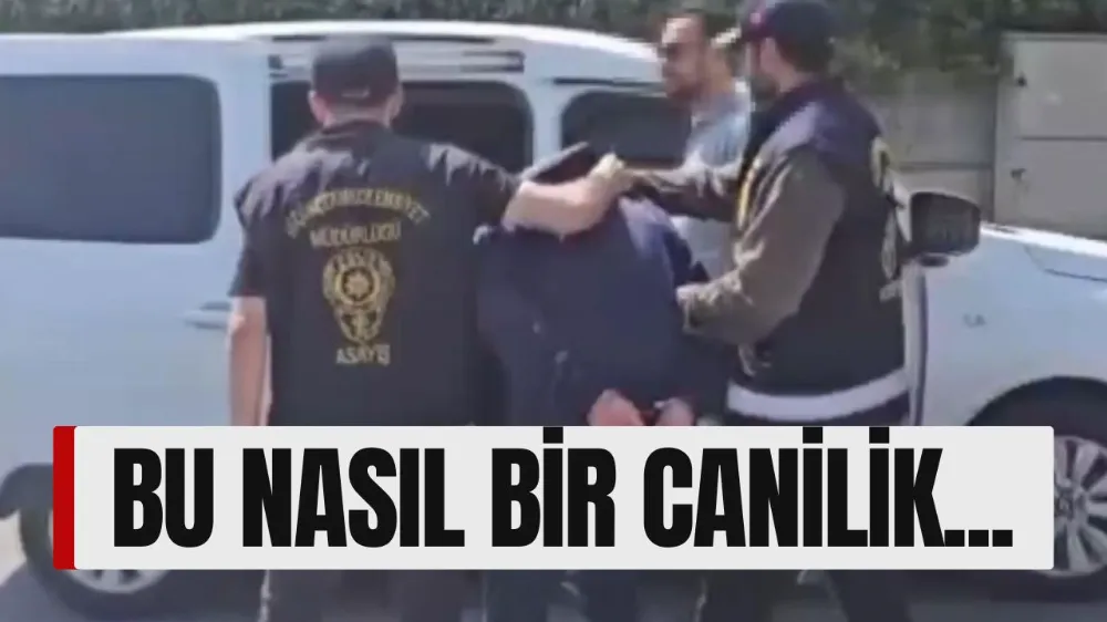 İki aylık eşini tek yumruk darbesiyle öldürdü!