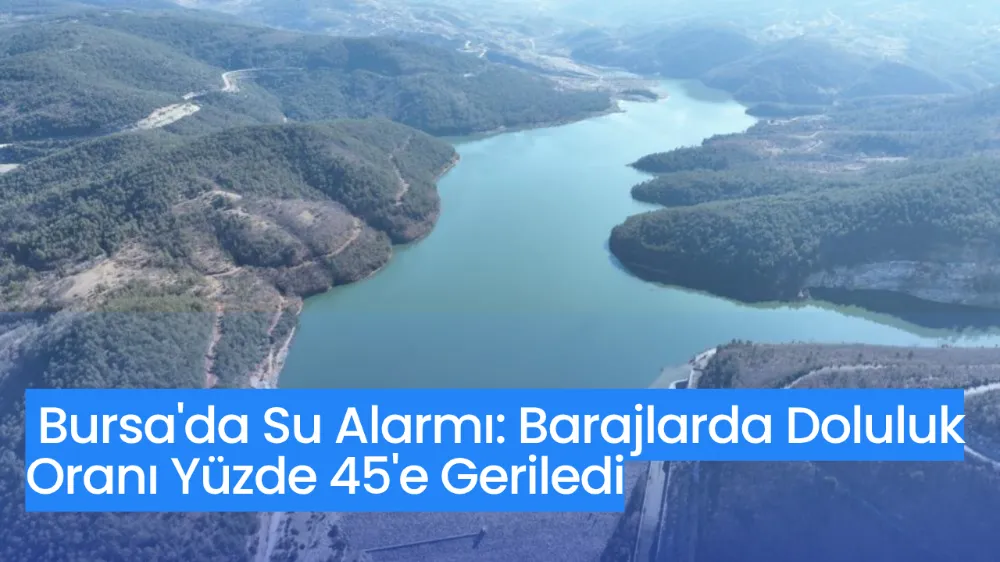 Bursa