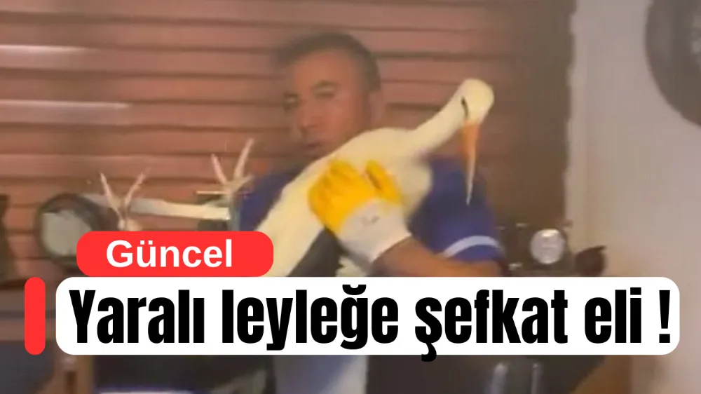 İnegöl’de Duygulandıran Anlar: Yaralı Leyleğe Otopark İşletmecisi Sahip Çıktı
