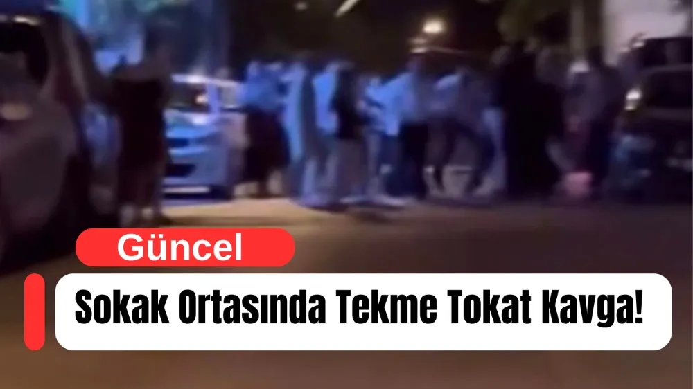 Bursa