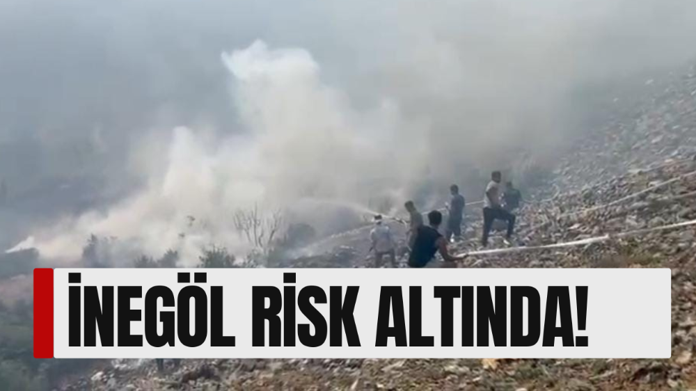 Bursa’da orman yangını!
