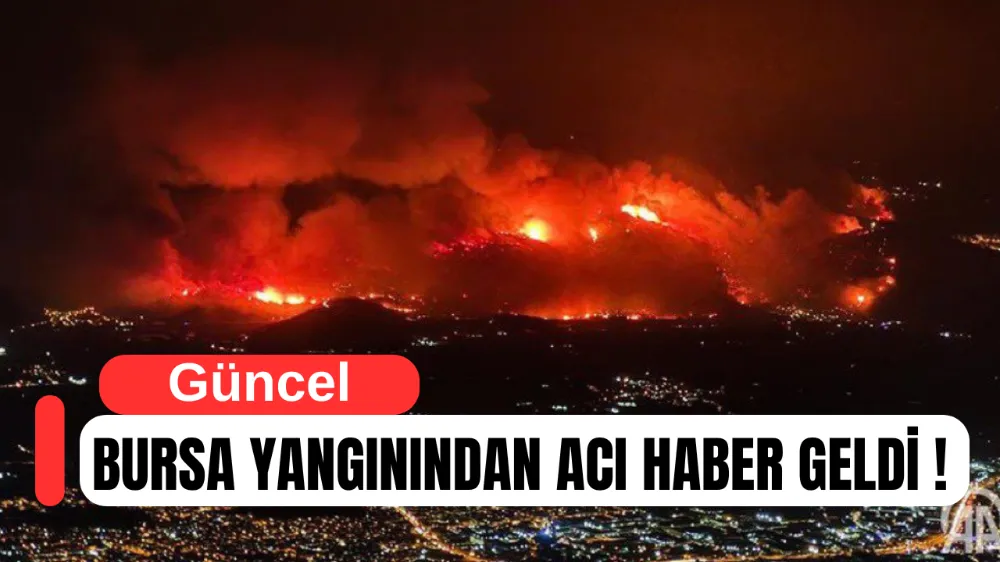 Bursa