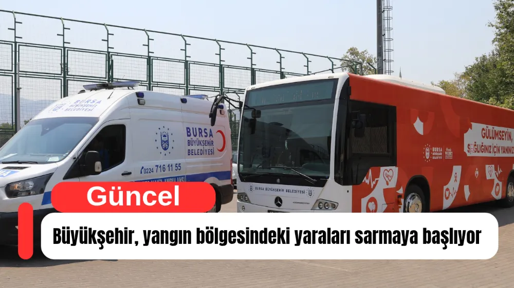 Büyükşehir, yangın bölgesindeki yaraları sarmaya başlıyor