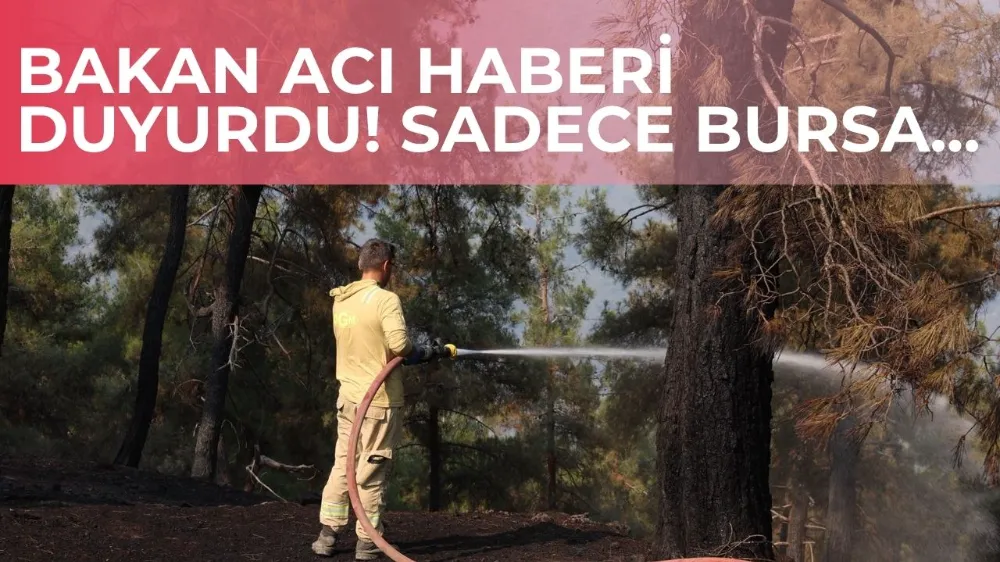 Bakan Yumaklı: Sadece Bursa yangını devam ediyor