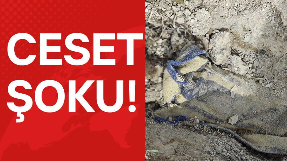 İstanbul’da öldürüp, Nevşehir’e gömmüşler