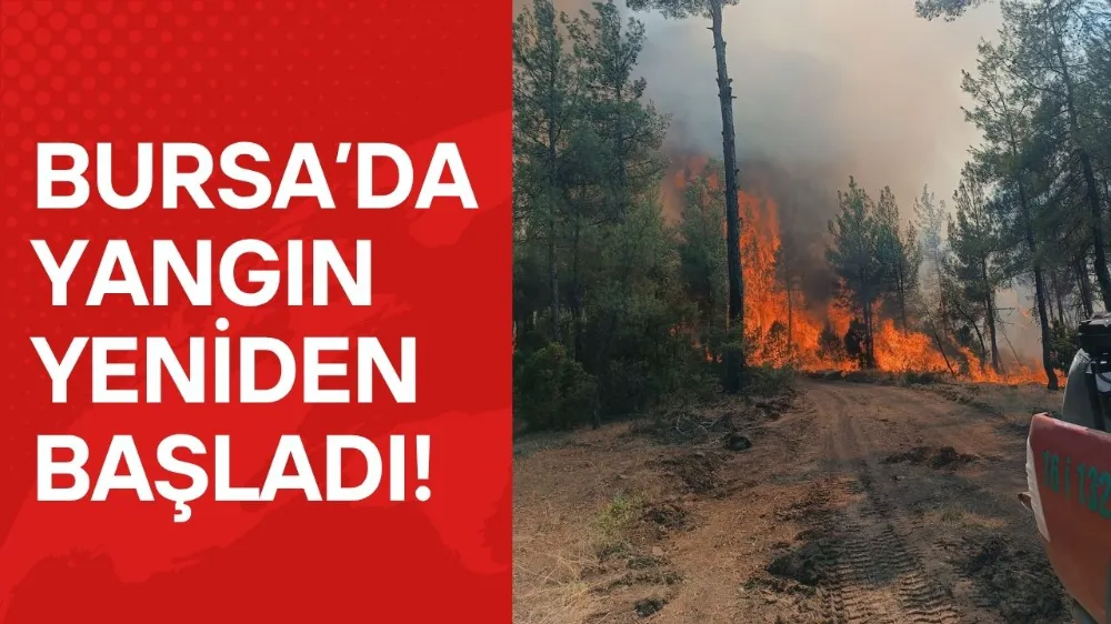 Bursa’daki Orman Yangını 5. Gününde: Mücadele Sürüyor