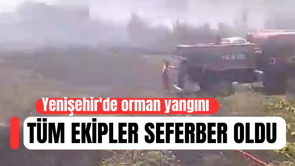 Yenişehir