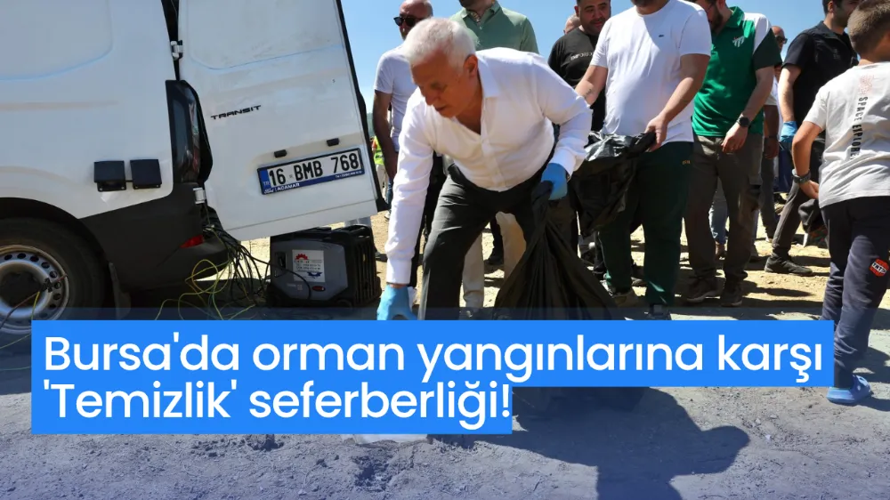 Bursa