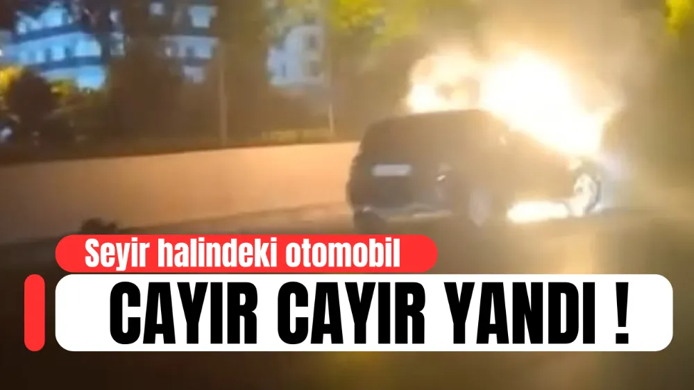 Seyir halinde cayır cayır yandı !