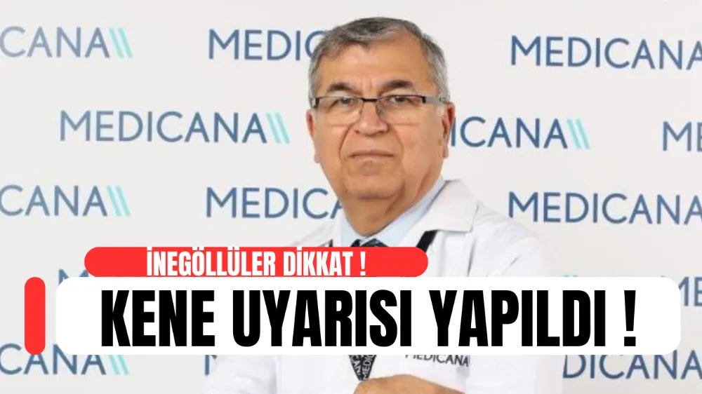 Uzmanlardan Kene Uyarısı: Yaz Aylarında Dikkat!