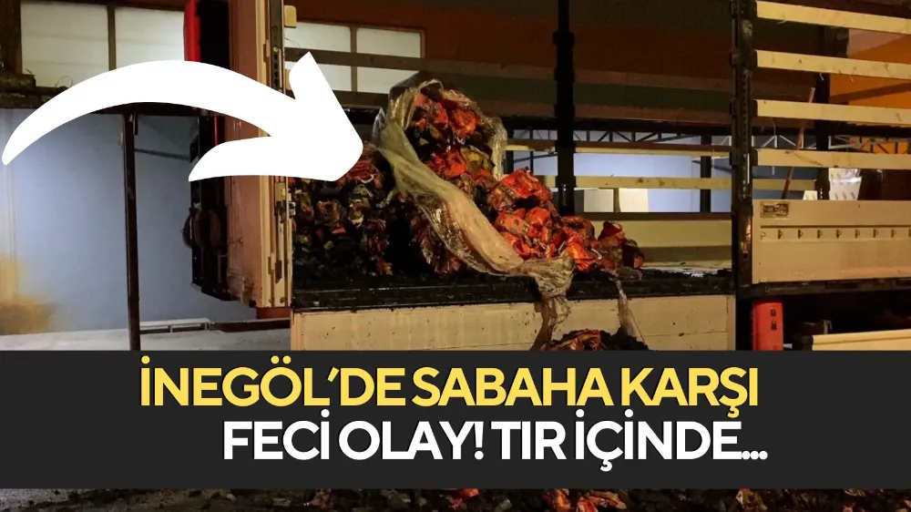 Mangal kömürü yüklü tır alev alev yandı