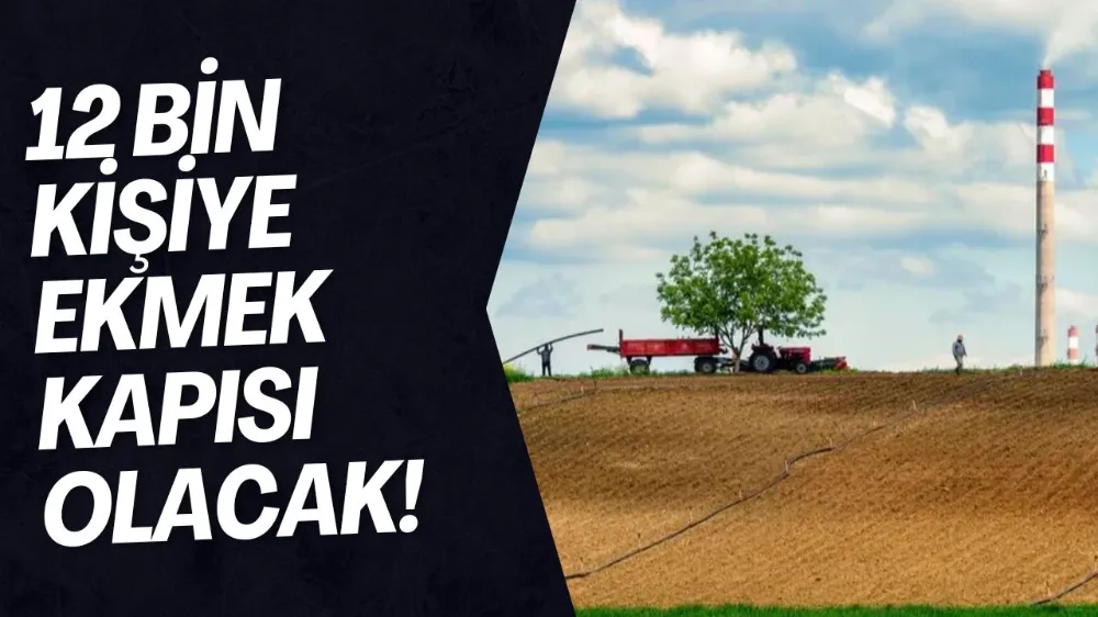 Bursa