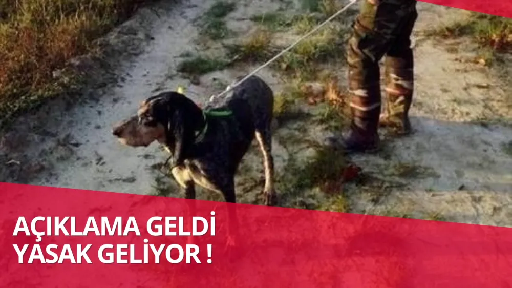 Tarım ve Orman Bakanı Yumaklı: 2025’te Ormanlarda Avlanma Yasaklanacak