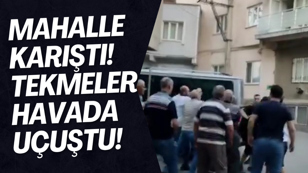 Bursa