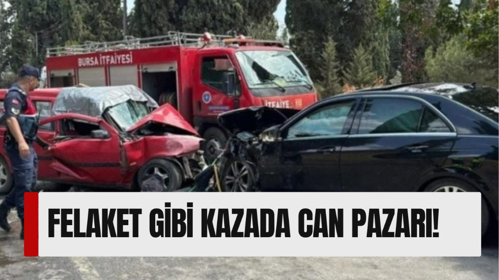 Bursa