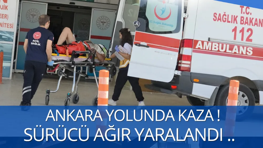 Kontrolden çıkıp şarampole uçtu !