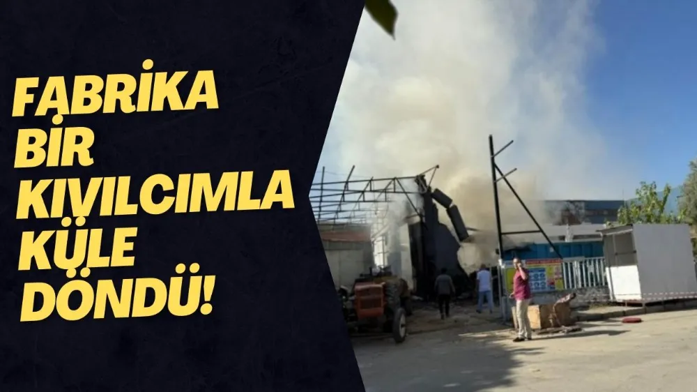 Bursa