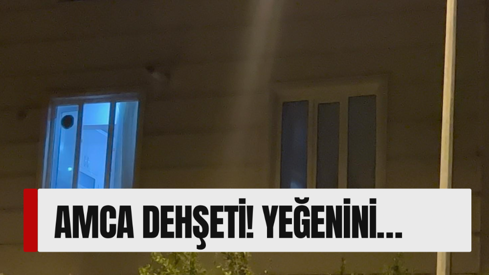 Bursa