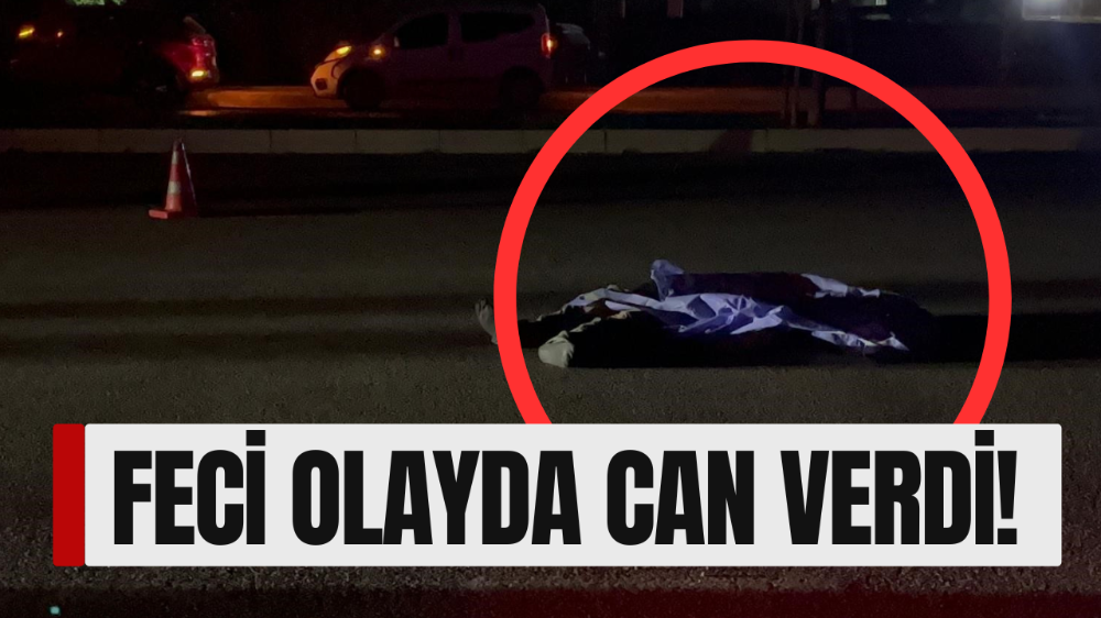 Bursa