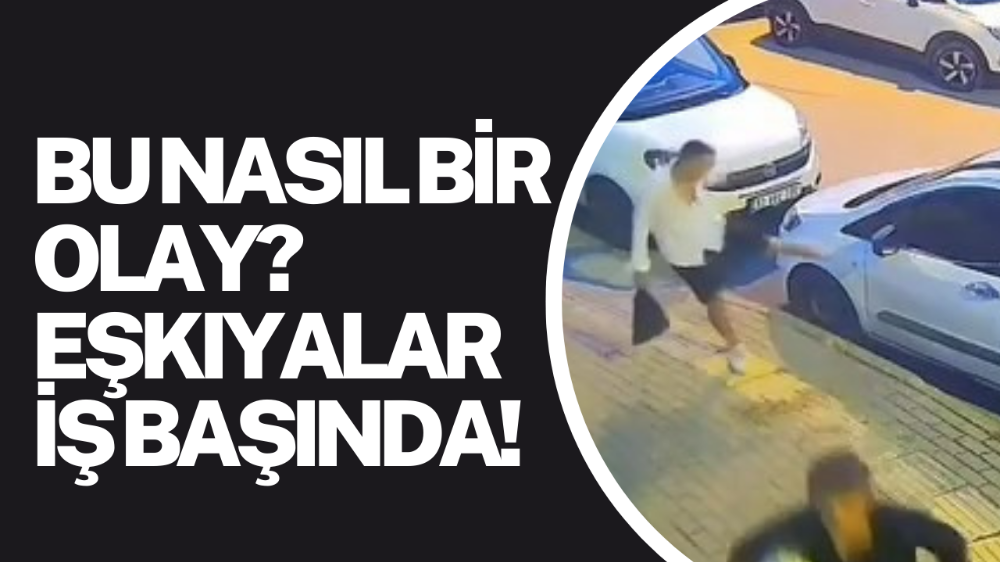 Eşkiyalar iş başında!