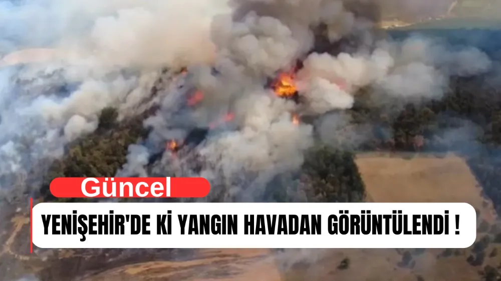 Yenişehir’de orman yangını! Alevler dronla görüntülendi