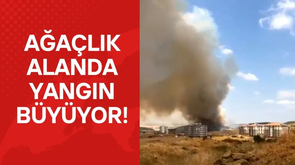 Ağaçlık alanda çıkan yangın hızla büyüyor!