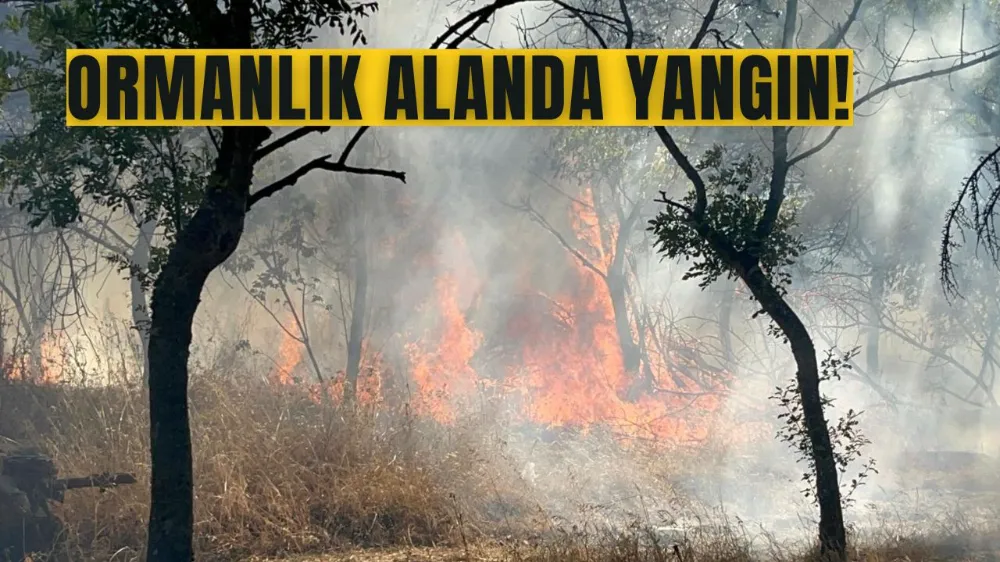 Ormanlık alanda korkutan yangın