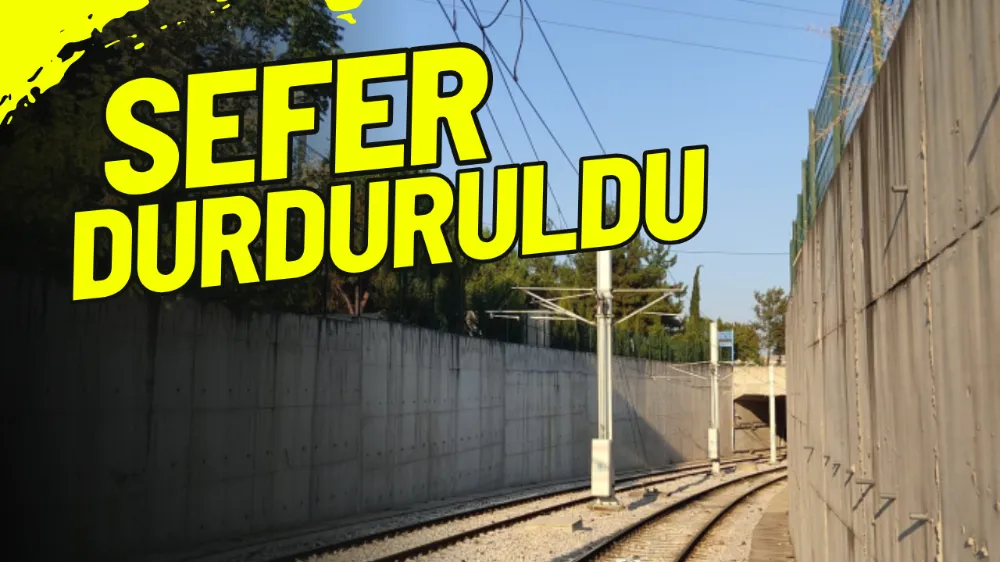 Bursa