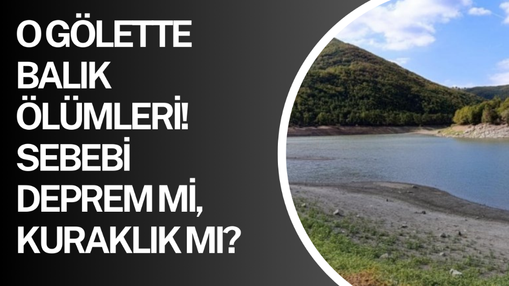 İnegöl’ün yanı başında toplu ölüm!