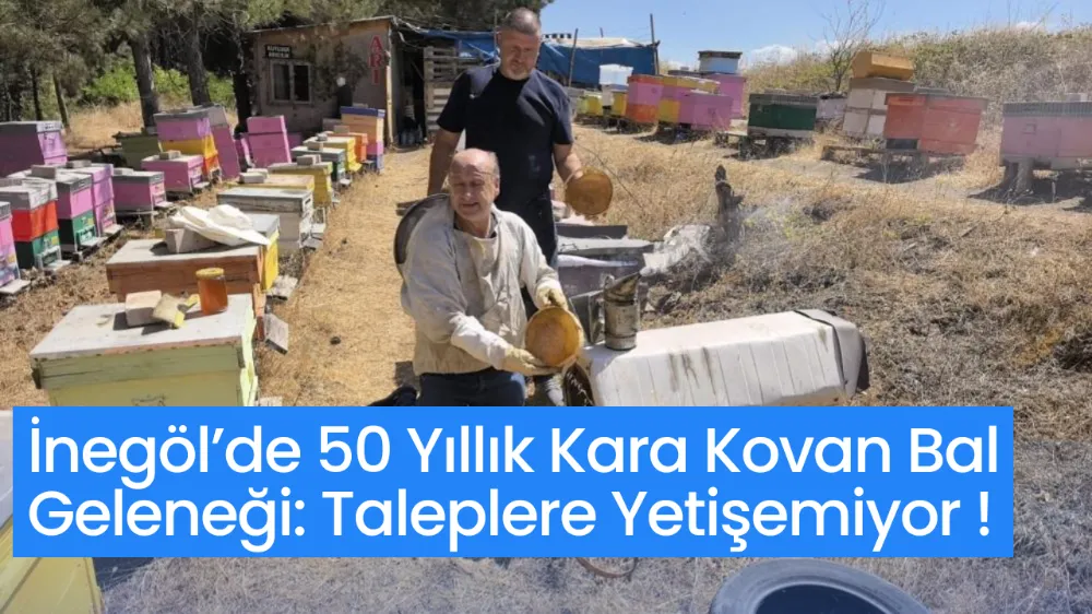 İnegöl’de 50 Yıllık Kara Kovan Bal Geleneği: Taleplere Yetişemiyor