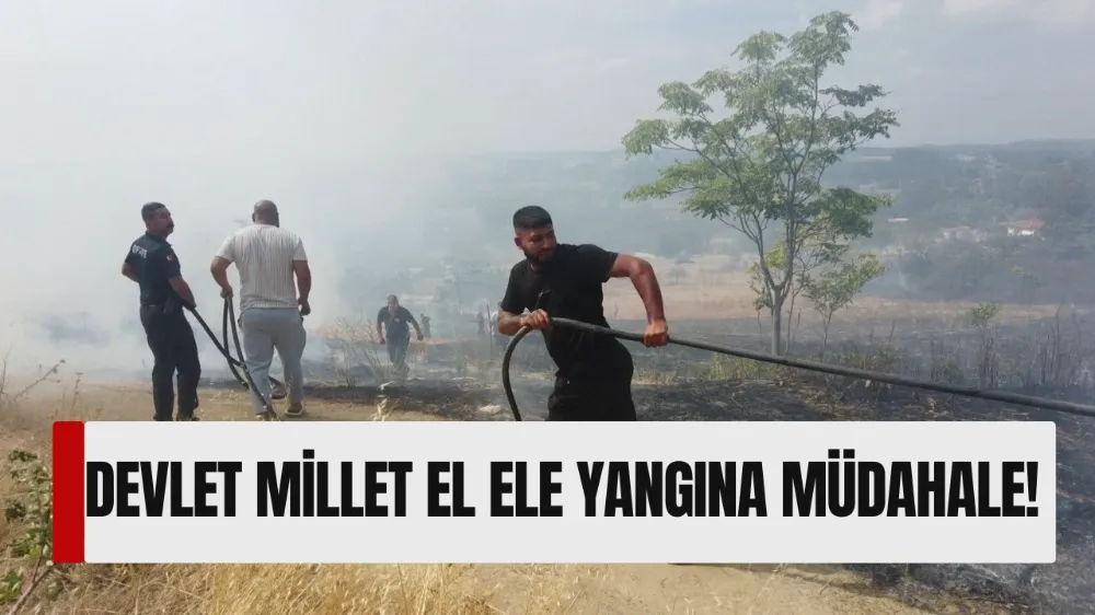 Yangını söndürmek içi devlet-millet seferber oldu