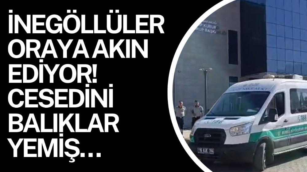 Ellerini ve yüzünü balıklar yemiş...