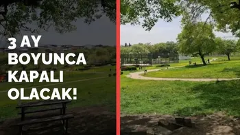 Bursa'da mesire alanı kapatılıyor! 3 ay boyunca...