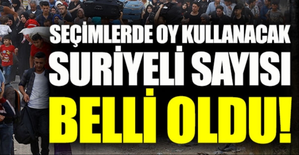 Seçimlerde kaç Suriye