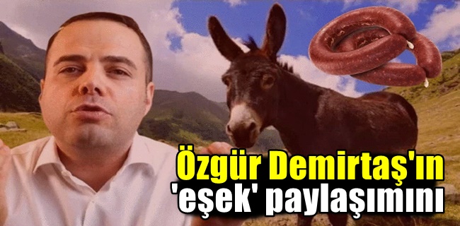 Özgür Demirtaş'ın 'eşek' paylaşımını
