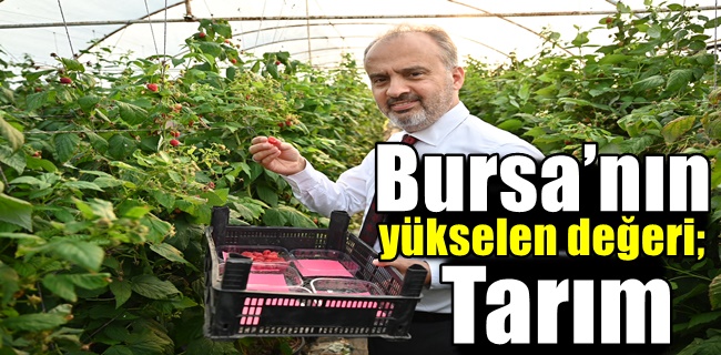 Bursa’nın yükselen değeri; tarım