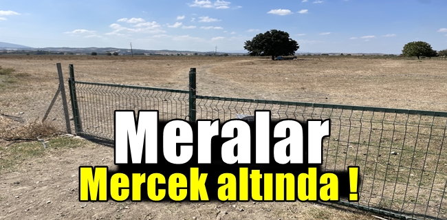 Meralar koruma altında