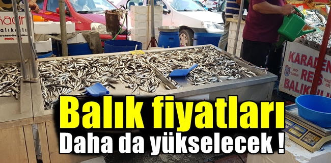 Balık fiyatları daha da artacak !