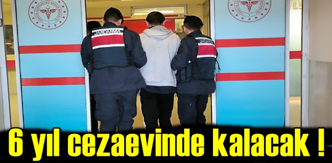 Hırsızlık hükümlüsü cezaevine gönderildi !